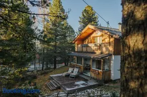 pine19 - Image 1