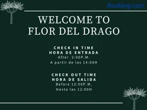Flor del Drago - Image 2