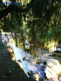 Bangalo a beira do rio em plena natureza - Image 3