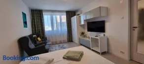 Elisabeta Studio Apartment - Image 2