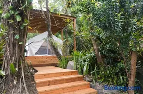 El Yunque Glamping Experience - Image 1