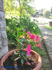 Villetta con giardino - Image 2