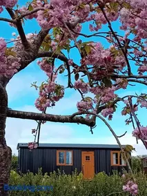 Carlingford Glamping Hut - Image 4