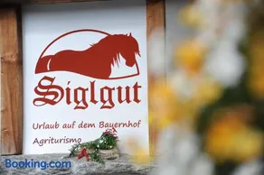 Reiterhof Siglgut - Image 4