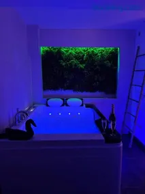 Beau gîte avec jacuzzi - Image 2
