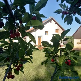 Kuća za odmor Boki - Image 2