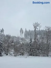 Alte Ölmühle FeWo im EG "Rennsteig" im Herzen des Thüringer Waldes - Image 2