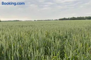Schrijvershuisje - sfeer & stilte Zeeuws Vlaanderen - Image 3