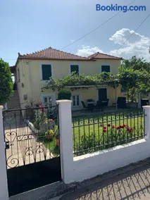 Camara - Image 4