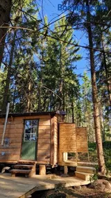 Tiny house Lugnet - forest and microfarm stay - Image 2