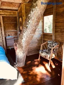 Casa del Árbol Colombia - Image 3