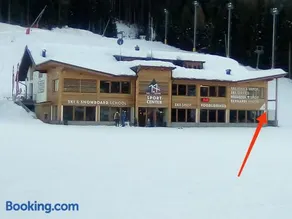 Ski-Garden - Image 1