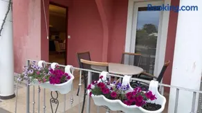 Apartments Dragica - Image 2