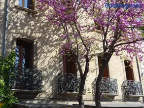 Les Santolines - Image 3