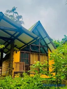 Rainforest cabin - Image 1