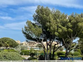 My Little Provence Bormes Les Mimosas - Image 2