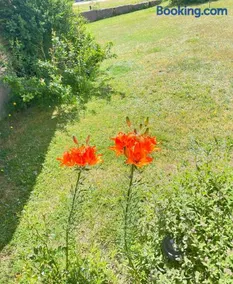 Lovely Home - Image 1