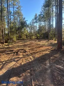 Nice 4,000 sqft vacant lot perfect for camping or weekend get away will need to bring your own tent or camper - Image 1