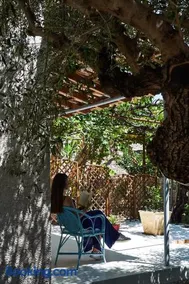 Moorea Country Houses - Image 4