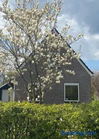 Knusse vakantiewoning Valthe - Image 1