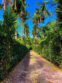 Hacienda Dalas Alojamiento Campestre - Image 2