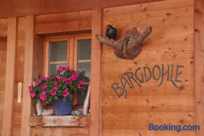Bergdohle - Image 3