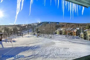 Winterplace G303 - Skier - Image 3