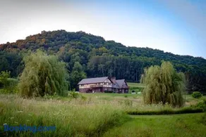 The Chateau on Butterfly Trail - 6 Bdrm Retreat - Image 3