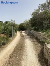 Monn Ulivo Mandorlo - Image 2