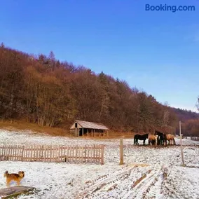 Oddychovy pobyt na rodinnej farme - Image 4