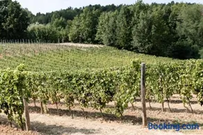 Cascina Bella Relais - Image 3