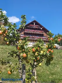 Hotel Alpská vyhlídka - Image 4