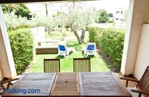 Lirio - Image 2