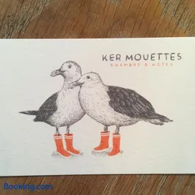 Ker Mouettes - Image 4