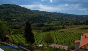 B&B Le Coccinelle - Image 3
