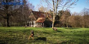 Landschule Rhön - Image 3