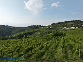 Grad Kojsko - Image 5