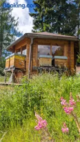 Appartamento LA REGINA un dolce rifugio tra api e natura - Image 4