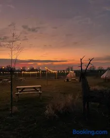 Witham Grange Glamping - Image 2