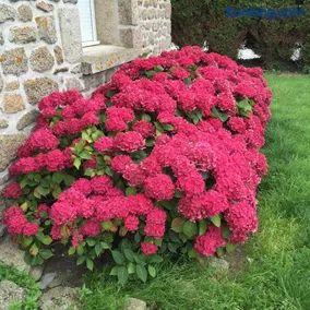 Villa Cotentin - Image 1