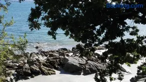 Son da Ria - Image 2