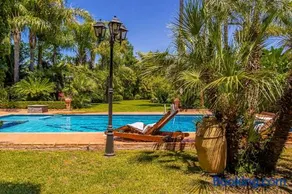Villa Palmira - Image 2