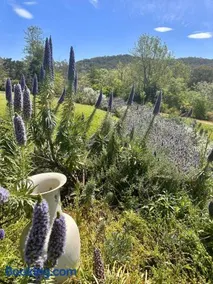 Wollombi Country House and Gardens - Image 2