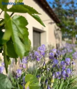 Elegant Cottage in Provence Vineyards View near Mont Ventoux - Image 2