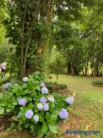 Quinta Arce - Refugio Natural - Image 5