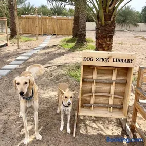 Naseem Farm Escape - dog-friendly camp site - Image 3
