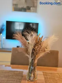 Apartman Stojanović Zlatibor - Image 2