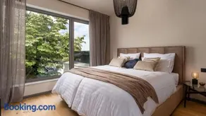 Luxury Villa Lipa Tree with pool in Novigrad - Image 3