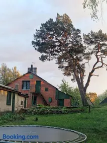 Pie omītes - Image 1