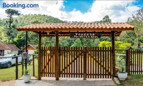 Palmeira Azul - Image 2